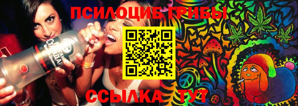Псилоцибиновые грибы MAGIC MUSHROOMS  Вход с VPN  Псилоцибиновые грибы Magic Shrooms  Тамбов 