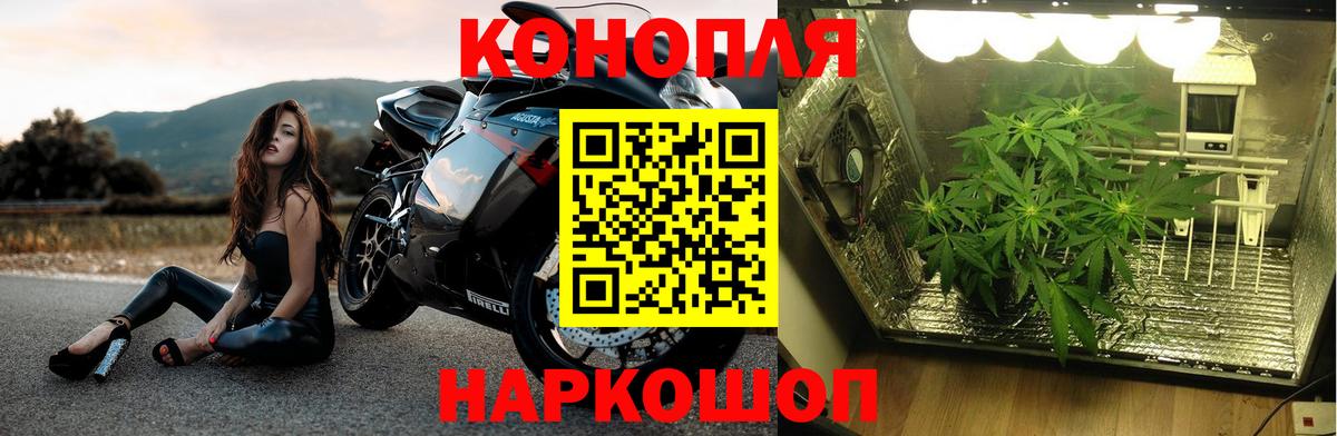 МАРИХУАНА тримм Тамбов